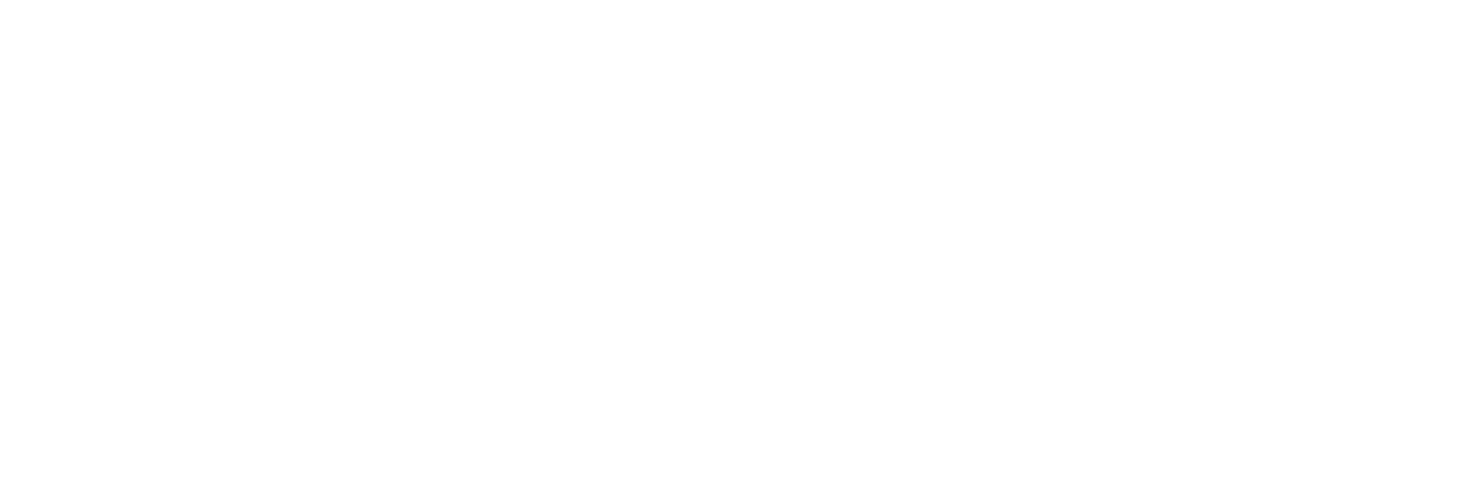 Consejo de la Magistratura